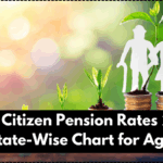 Senior Citizen Pension Rates 2025 – Full State-Wise Chart for Age 60+