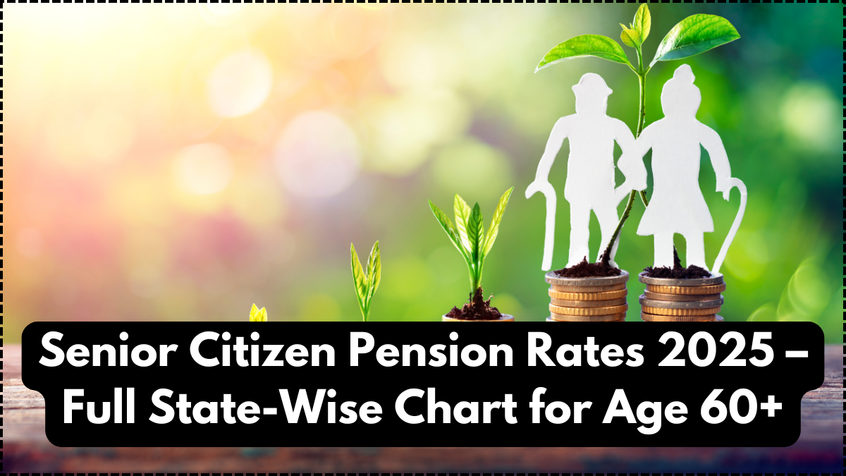 Senior Citizen Pension Rates 2025 – Full State-Wise Chart for Age 60+